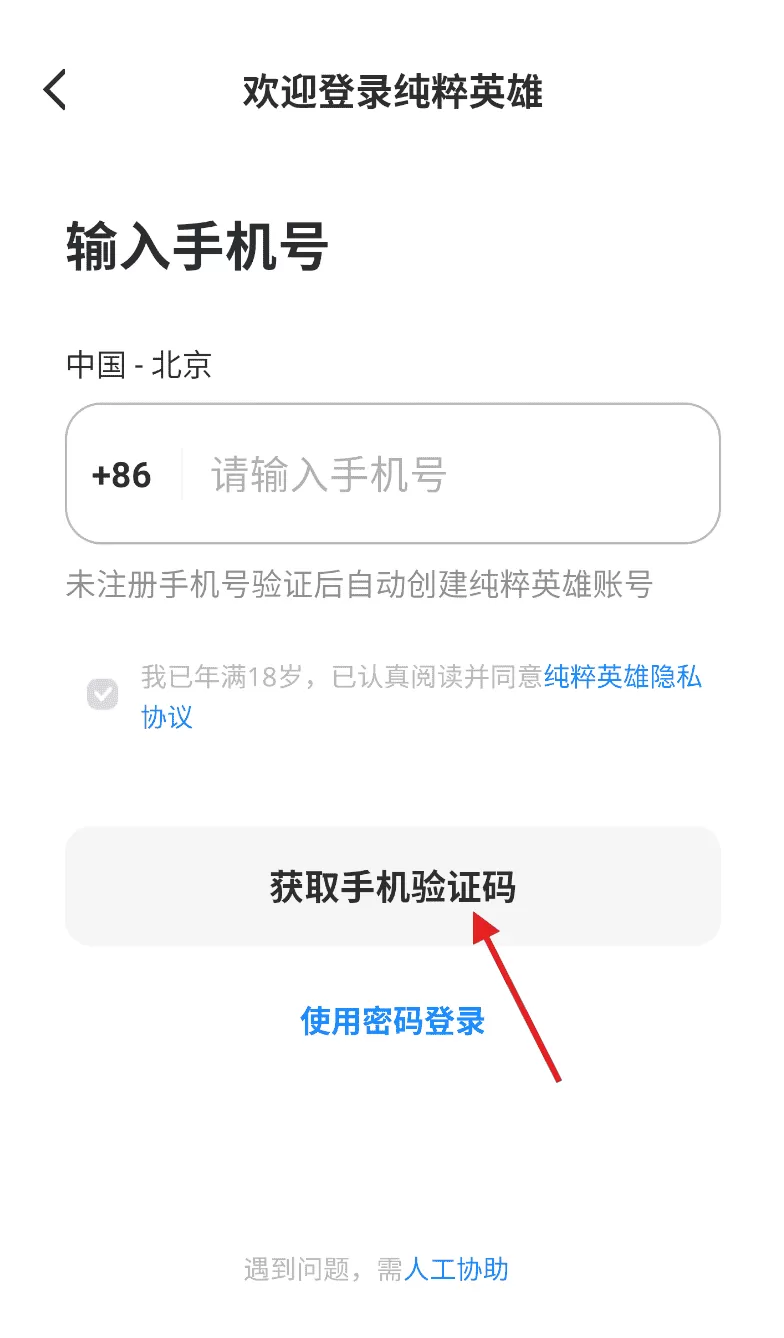 纯粹英雄