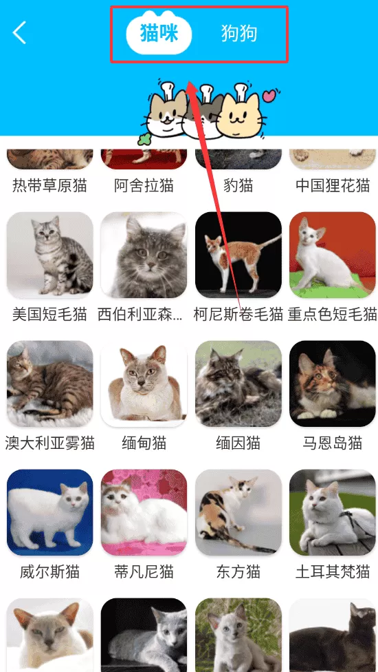 多语翻译器