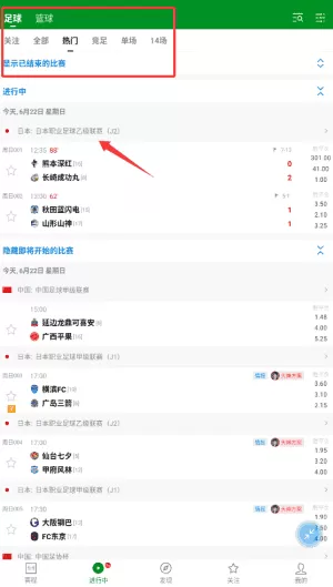 大象比分
