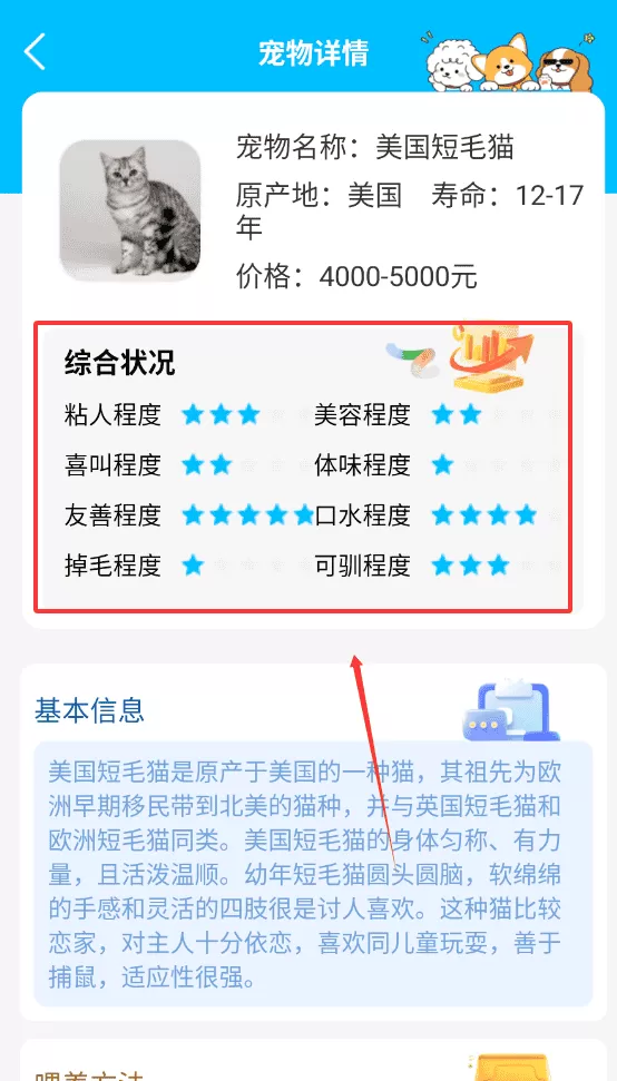 多语翻译器