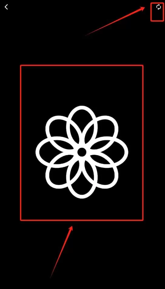 黑白视觉卡