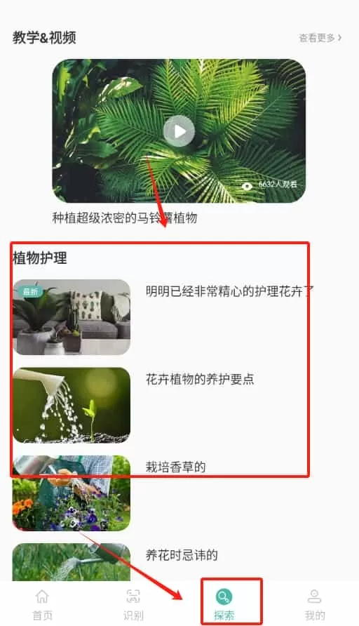 花草录