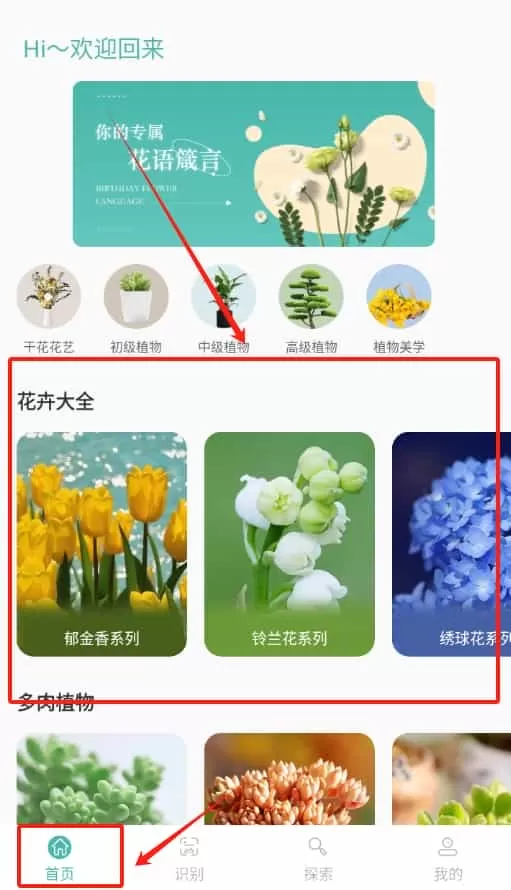 花草录