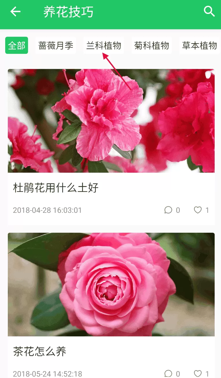 绿手指