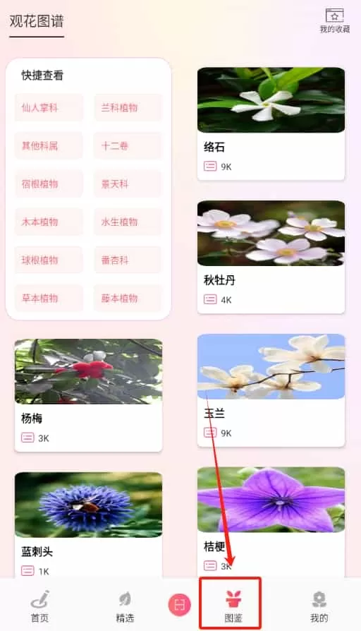 阑舒养花宝