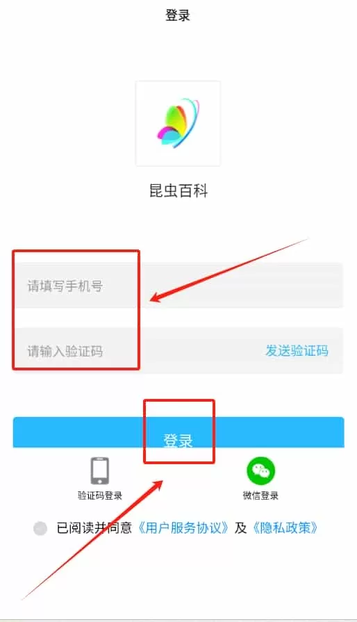 昆虫百科