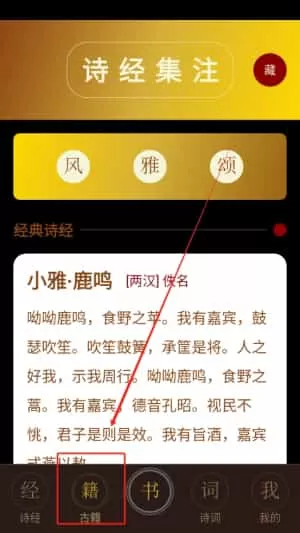 精读圣文经