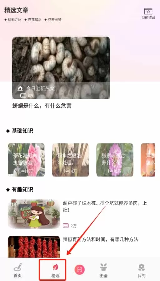 阑舒养花宝