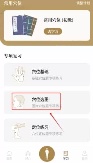 经络穴位标准指南