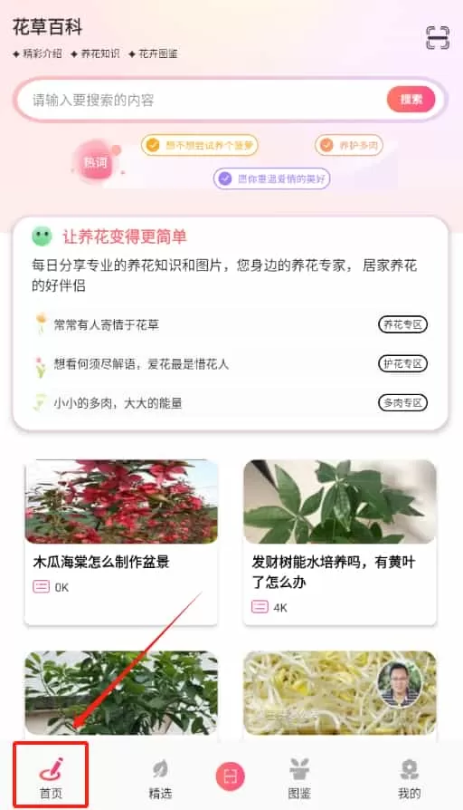 阑舒养花宝