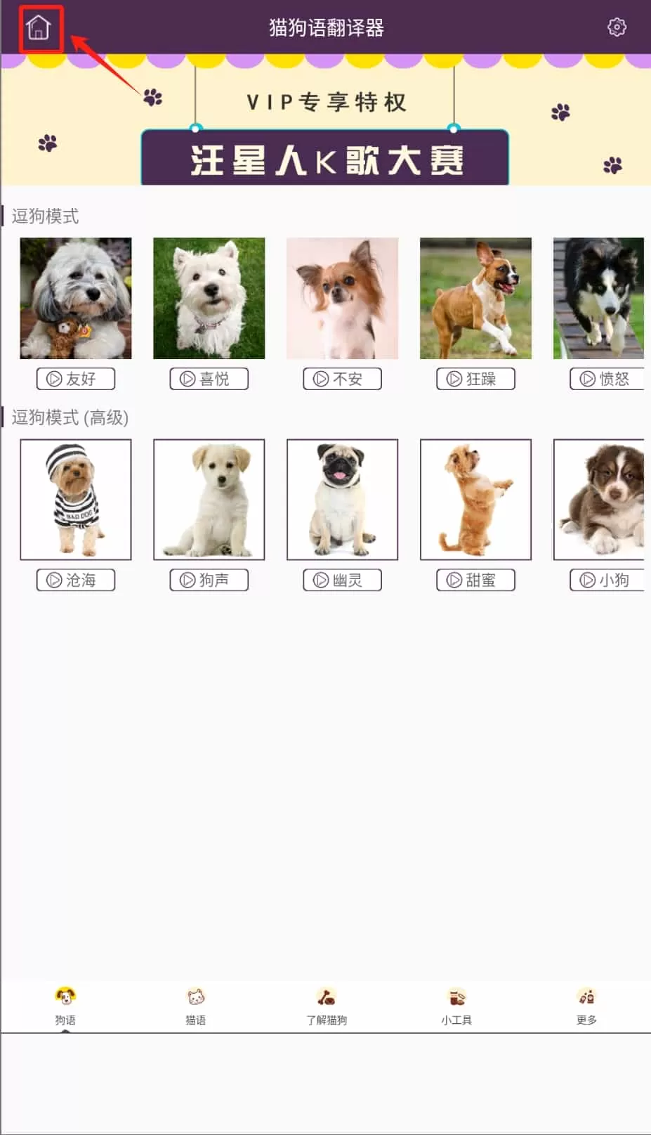 猫狗语翻译器