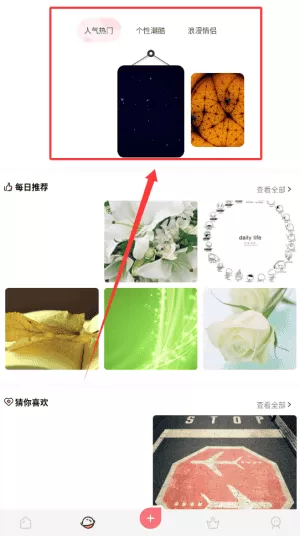免费头像壁纸