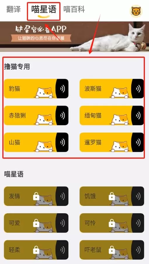 猫语翻译大全