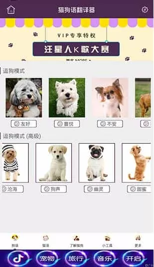 猫狗语翻译器