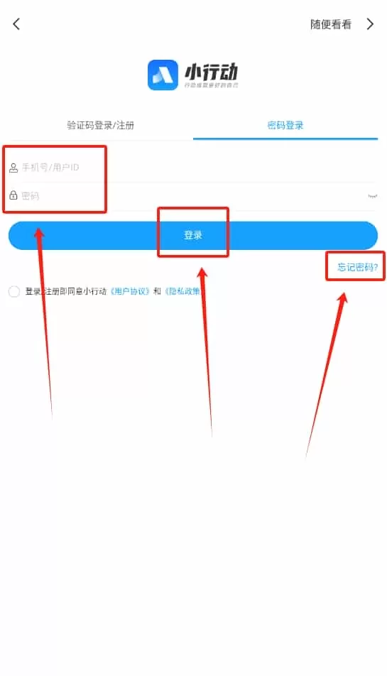 小行动计划