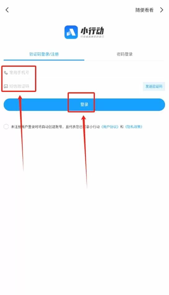 小行动计划