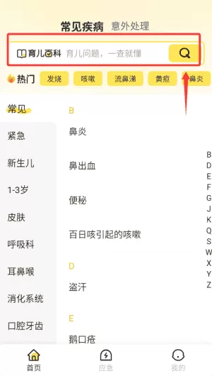 吾儿安安