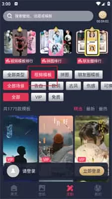 羞兔动态壁纸最新版