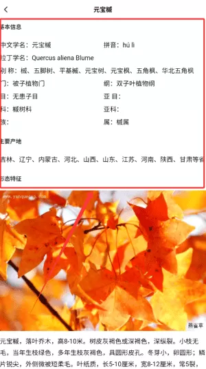 幸福小田园百科