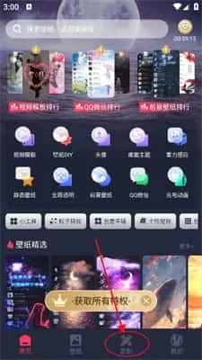 羞兔动态壁纸最新版