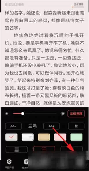 饭团追书app
