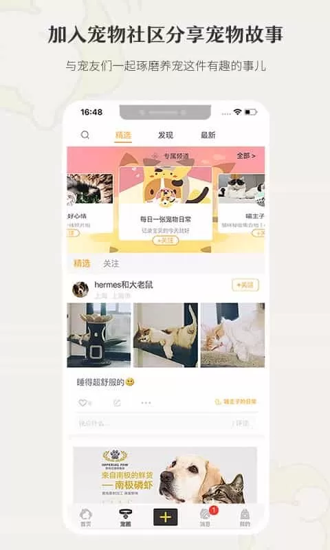 小狗在家宠物寄养