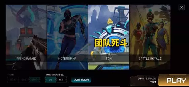 印度皇家战役