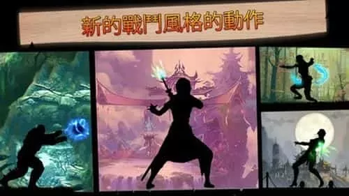 影子对决